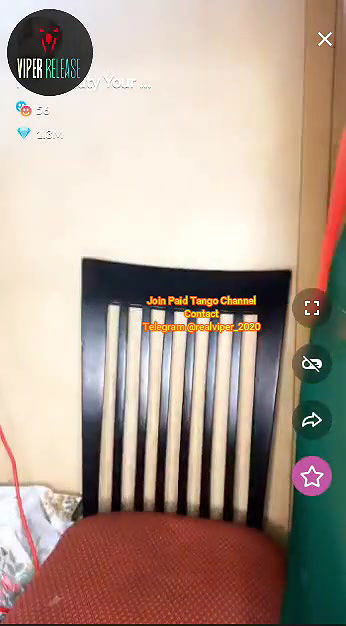 miss beuty  hot tango premium show (1)