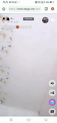 MIX  hot tango premium show (11)