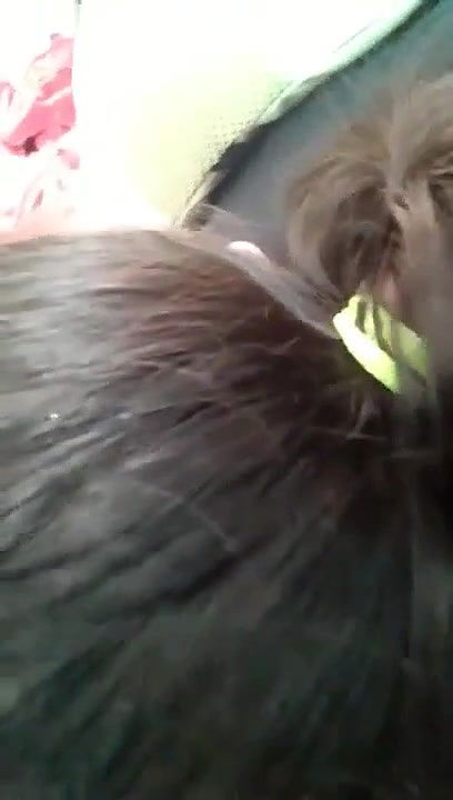 Desi Lovers Car fucking hindi talking