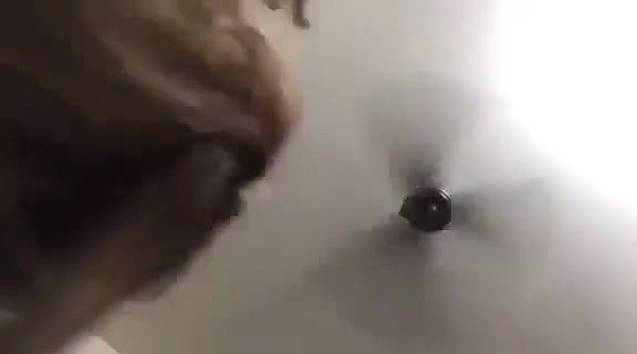 Sexy Girl Bj