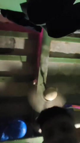 Desi local call girl room video- 22