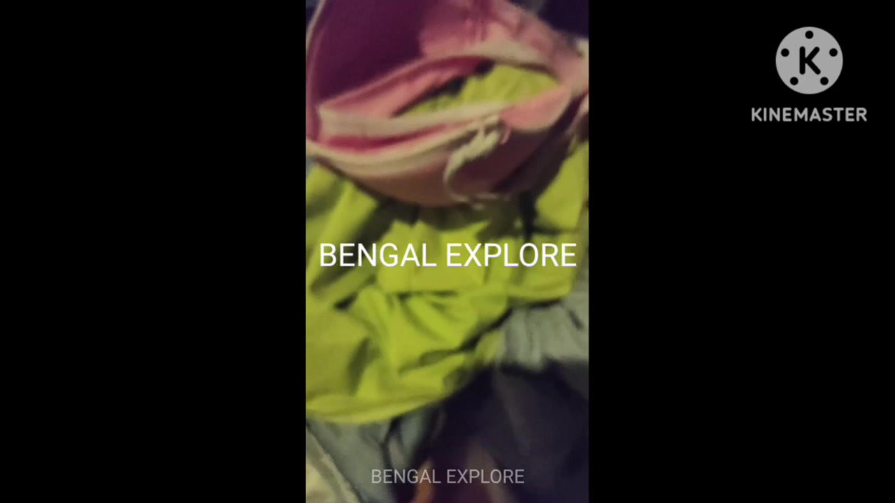 Desi local call girl room video- 23