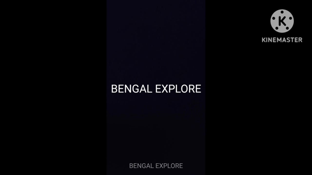 Desi local call girl room video- 23