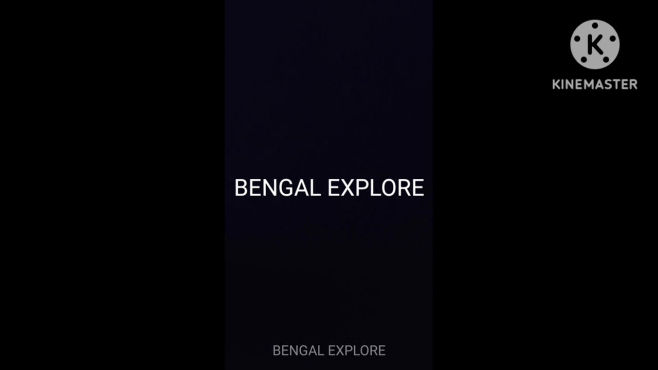 Desi local call girl room video- 23