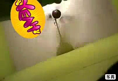 Desi local call girl room video- 4