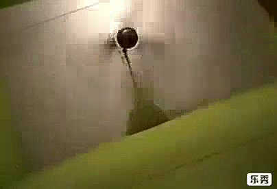 Desi local call girl room video- 4