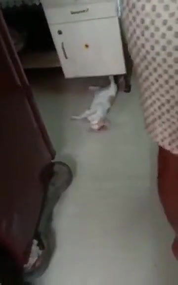 Swathi naidu enjoying cooking with her boyfriend