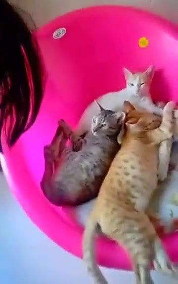 Swathi naidu giving romantic expressions part-1