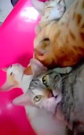 Swathi naidu giving romantic expressions part-1