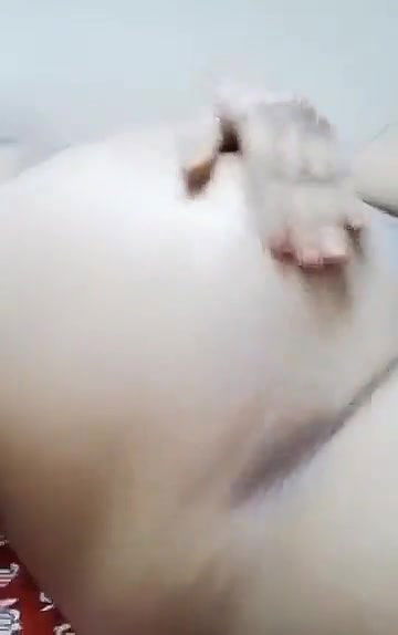 Swathi naidu latest sexy video on bed