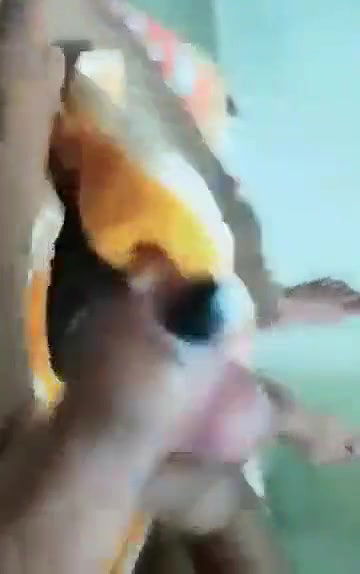 Swathi naidu latest sexy video part -4