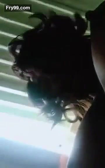 Swathi naidu nude show and playing with cat