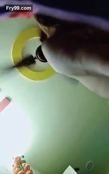 Swathi naidu sex with boyfriend in black dress