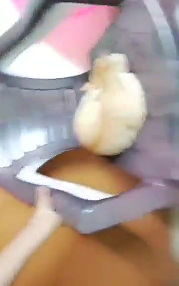 Swathi naidu sexy and dress part-15