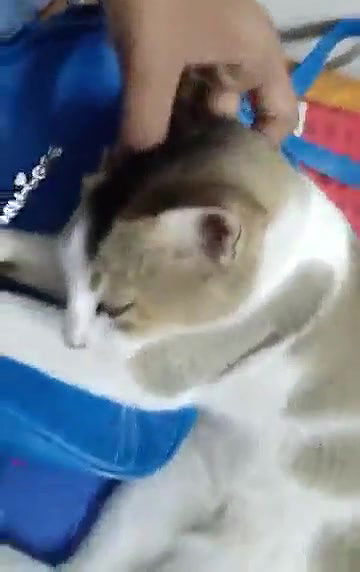 Swathi Naughty again