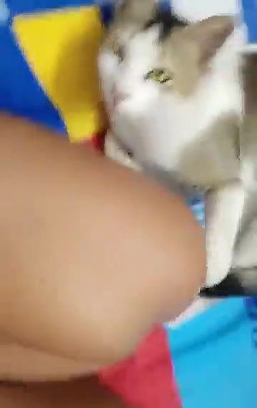 Swathi Naughty again