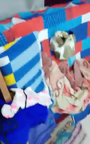 Swathi Naughty again