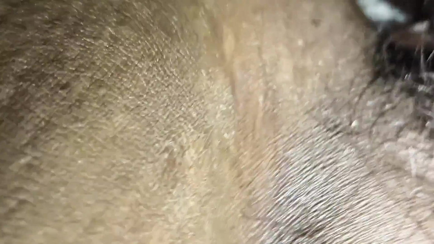 Tonight I fucked my stepmom’s pussy and fucked her ass