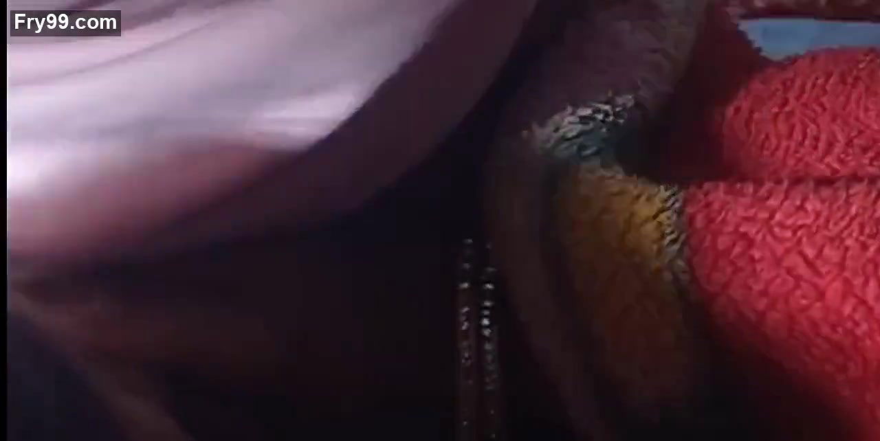 4k HD uncontrolled Shalini very hungry she was removing fast my pant and sucking my clock