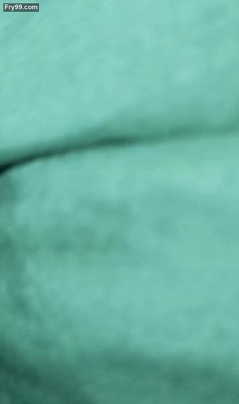 anal fucking from behind when nobody was home