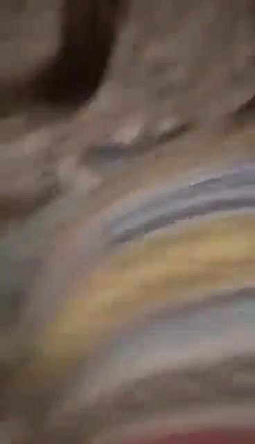 Pakistan big ass village bhabi doggy fucking by devar