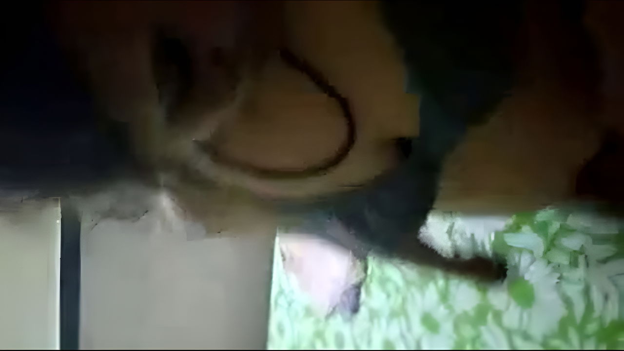 old aunty fucked by young guy