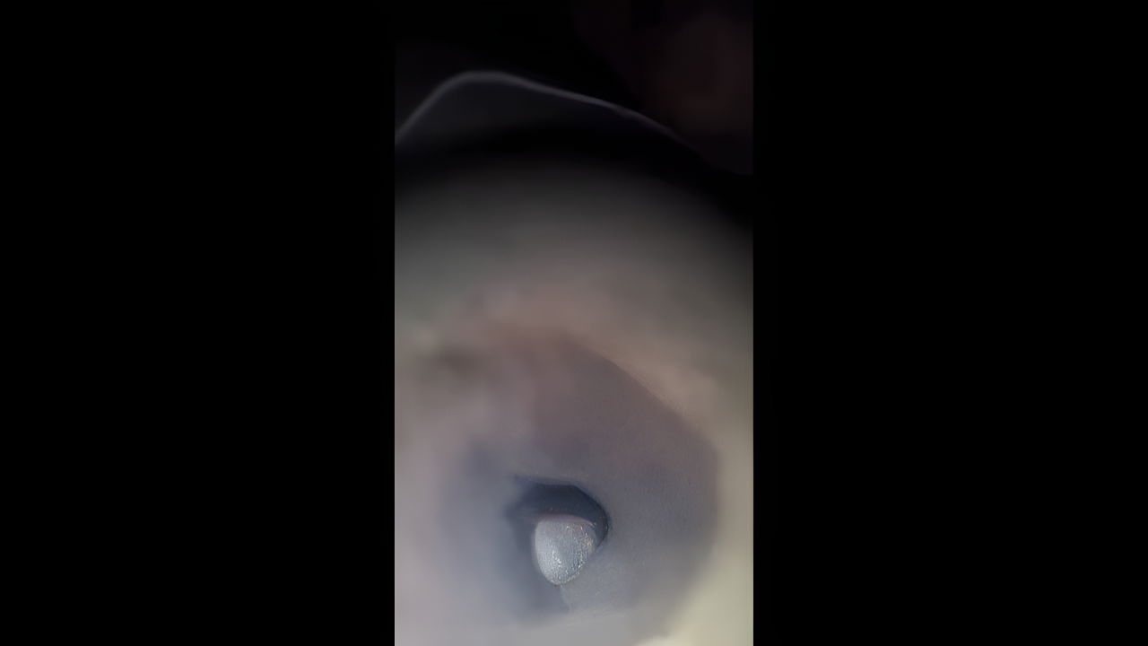 Bengali Girl Updates2