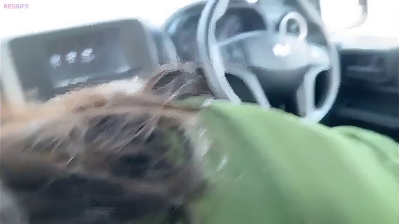 Bhabhi Giving Blowjob Inside Car